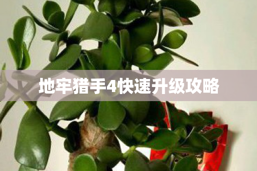 地牢猎手4快速升级攻略 地牢猎手4快速升级攻略