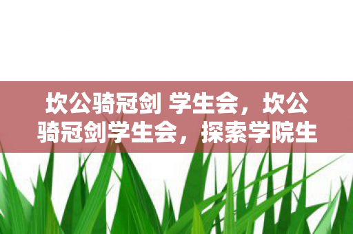 坎公骑冠剑 学生会，坎公骑冠剑学生会，探索学院生活的奇幻之旅