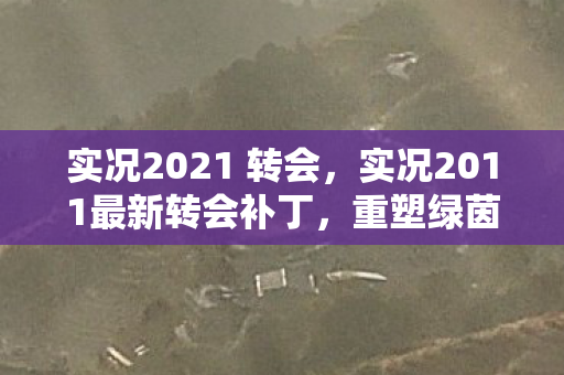 实况2021 转会，实况2011最新转会补丁，重塑绿茵场的传奇
