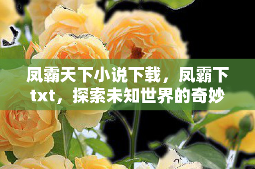 探索未知世界的奇妙之旅图片