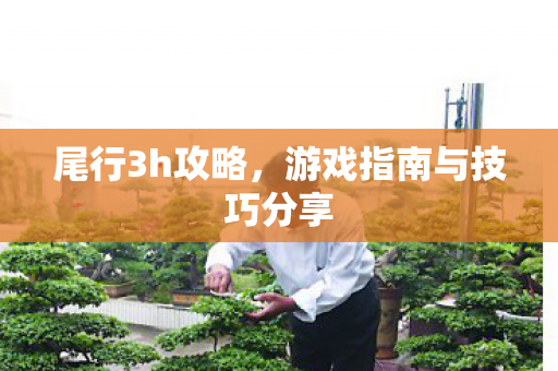 尾行3h攻略，游戏指南与技巧分享