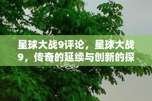 传奇的延续与创新的探索图片