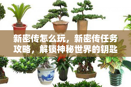 解锁神秘世界的钥匙图片