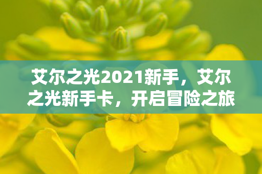艾尔之光2021新手,艾尔之光新手卡,开启冒险之旅的钥匙 艾尔之光2021新手,艾尔之光新手卡,开启冒险之旅的钥匙