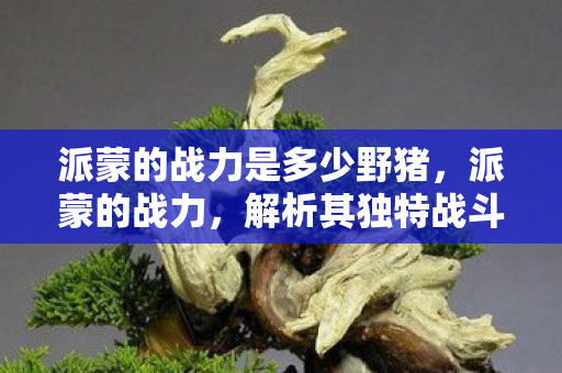 解析其独特战斗体系与角色定位图片