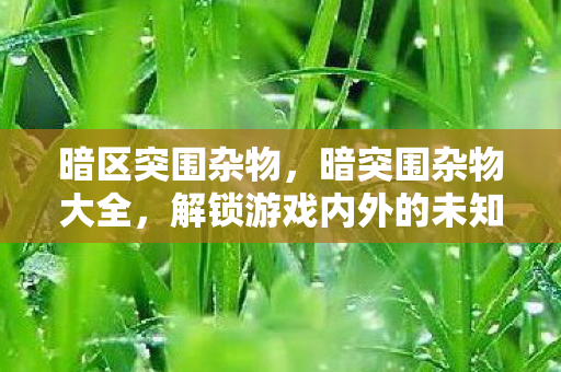 解锁游戏内外的未知领域图片