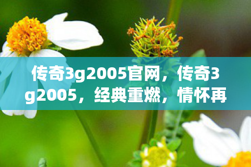 传奇3g2005官网,传奇3g2005,经典重燃,情怀再现 传奇3g2005官网,传奇3g2005,经典重燃,情怀再现