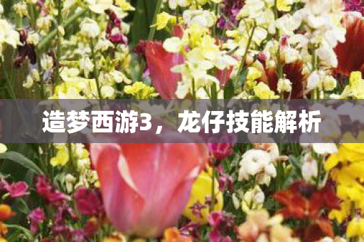 造梦西游3，龙仔技能解析