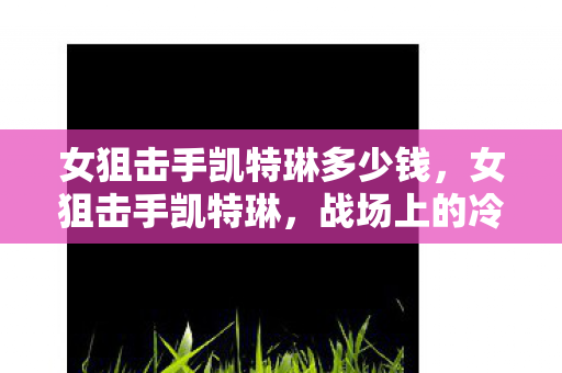 女狙击手凯特琳多少钱图片