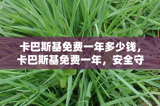 卡巴斯基免费一年多少钱图片