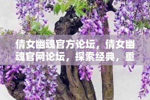 倩女幽魂官方论坛图片