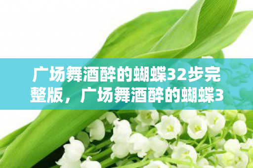 广场舞酒醉的蝴蝶32步完整版图片
