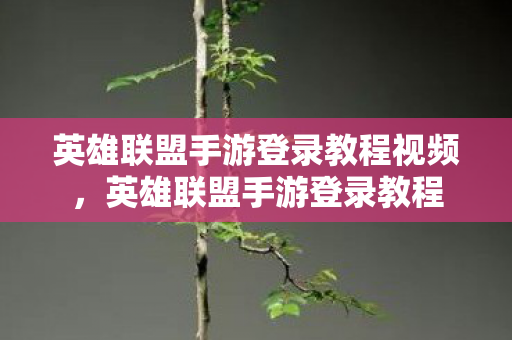 英雄联盟手游登录教程视频图片