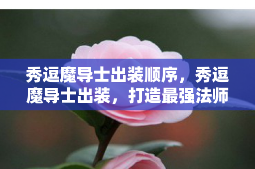 秀逗魔导士出装顺序,秀逗魔导士出装,打造最强法师阵容 秀逗魔导士出装顺序,秀逗魔导士出装,打造最强法师阵容