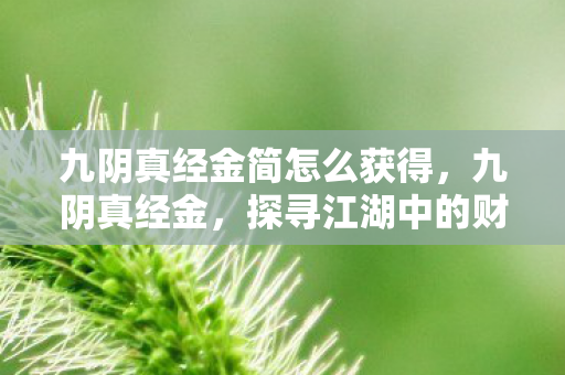 探寻江湖中的财富与传奇图片
