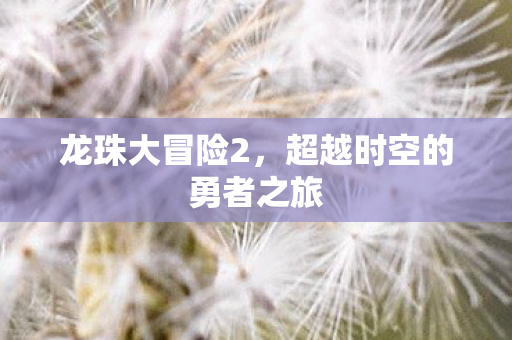 龙珠大冒险2，超越时空的勇者之旅