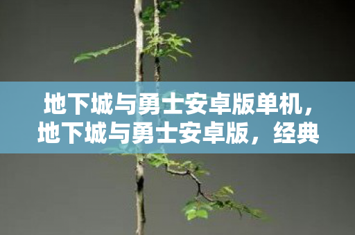 地下城与勇士安卓版单机图片