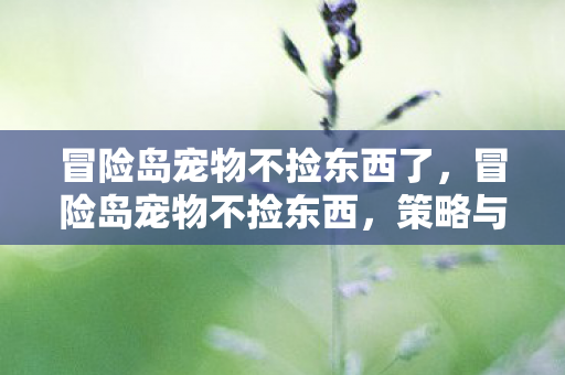冒险岛宠物不捡东西了,冒险岛宠物不捡东西,策略与乐趣的平衡 冒险岛宠物不捡东西了,冒险岛宠物不捡东西,策略与乐趣的平衡