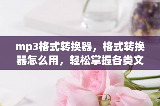 轻松掌握各类文件转换技巧图片