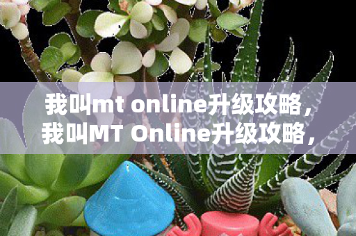 我叫mt online升级攻略图片