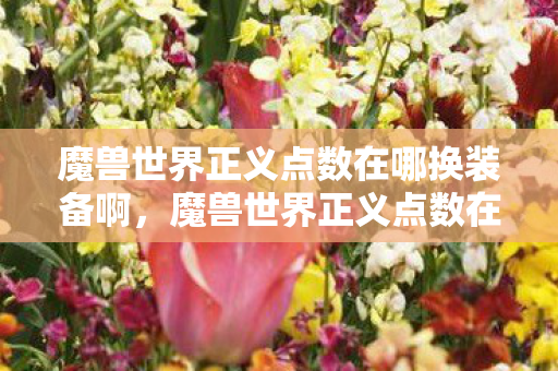魔兽世界正义点数在哪换装备啊图片