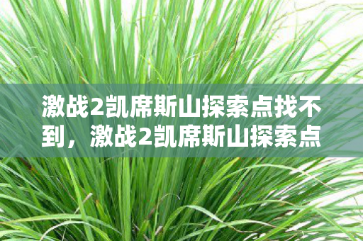 激战2凯席斯山探索点找不到图片