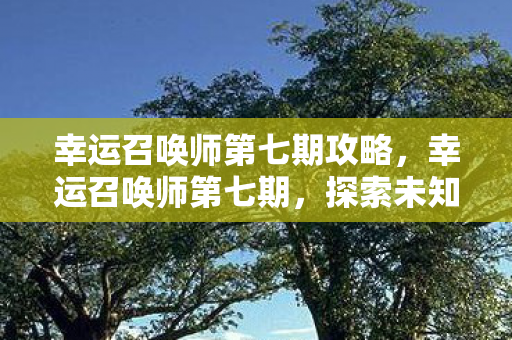 幸运召唤师第七期攻略图片