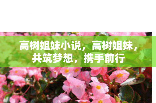 高树姐妹小说图片