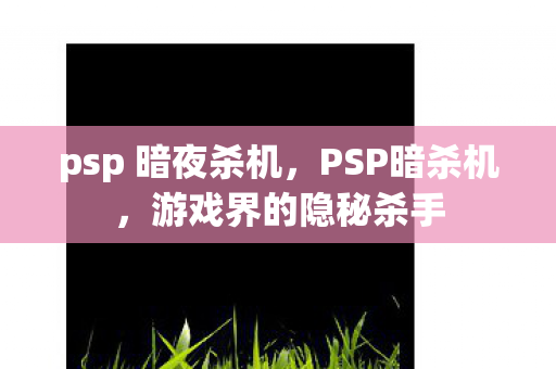 psp 暗夜杀机图片