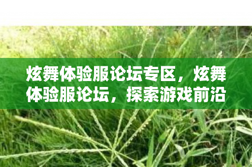 炫舞体验服论坛专区,炫舞体验服论坛,探索游戏前沿,共享创新乐趣 炫舞体验服论坛专区,炫舞体验服论坛,探索游戏前沿,共享创新乐趣