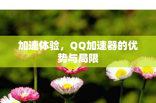 QQ加速器的优势与局限图片