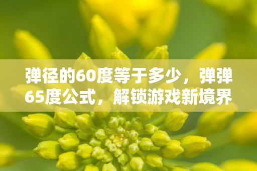 弹径的60度等于多少图片