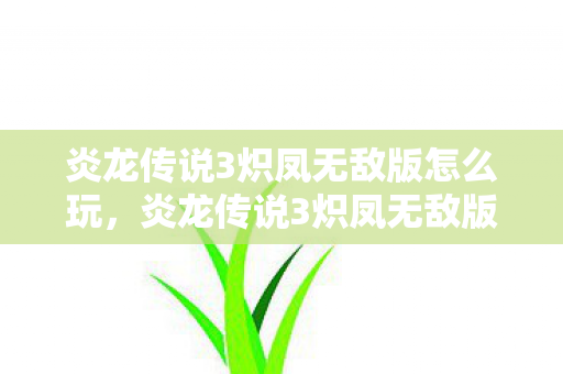 炎龙传说3炽凤无敌版怎么玩图片
