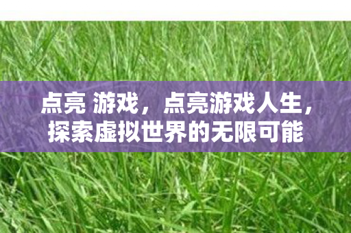 探索虚拟世界的无限可能图片