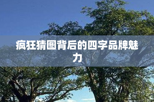 疯狂猜图背后的四字品牌魅力