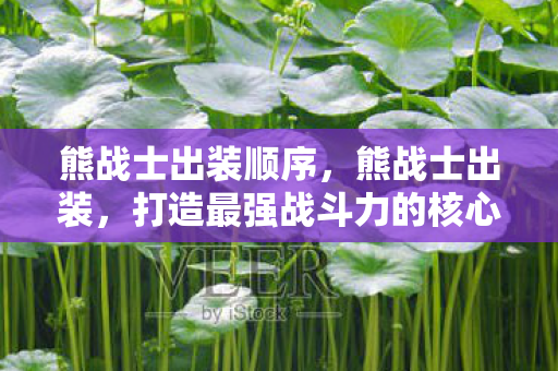 打造最强战斗力的核心策略图片