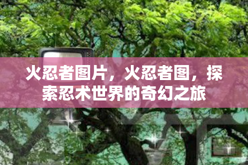 探索忍术世界的奇幻之旅图片