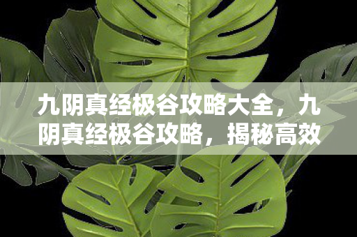 九阴真经极谷攻略大全图片