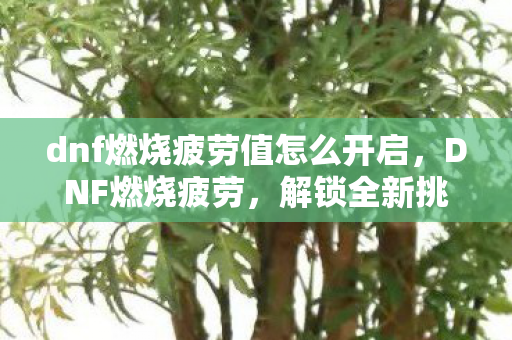dnf燃烧疲劳值怎么开启，DNF燃烧疲劳，解锁全新挑战，点燃你的冒险激情