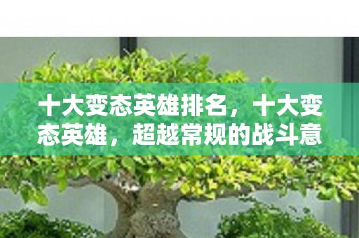 超越常规的战斗意志与技巧图片