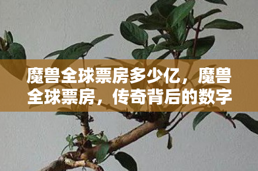 传奇背后的数字与故事图片