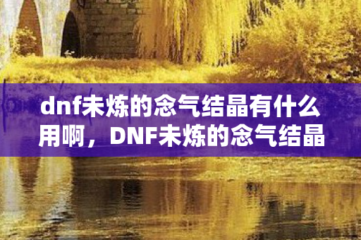 dnf未炼的念气结晶有什么用啊图片