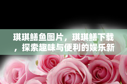 探索趣味与便利的娱乐新选择图片