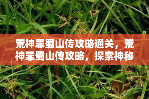 荒神罪蜀山传攻略通关图片