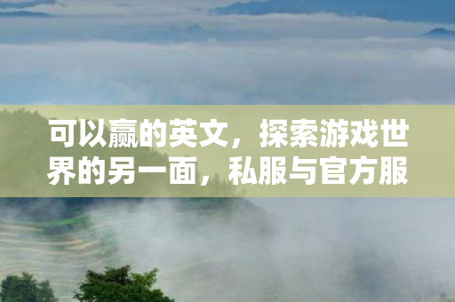 私服与官方服务器的独特魅力图片
