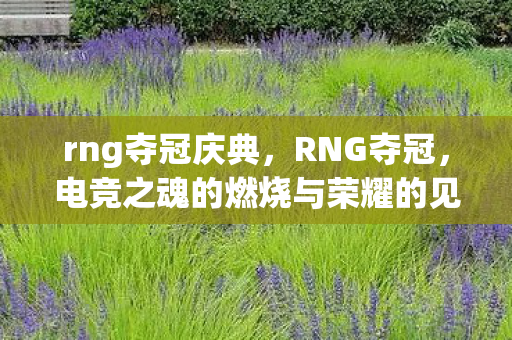 rng夺冠庆典,RNG夺冠,电竞之魂的燃烧与荣耀的见证 rng夺冠庆典,RNG夺冠,电竞之魂的燃烧与荣耀的见证