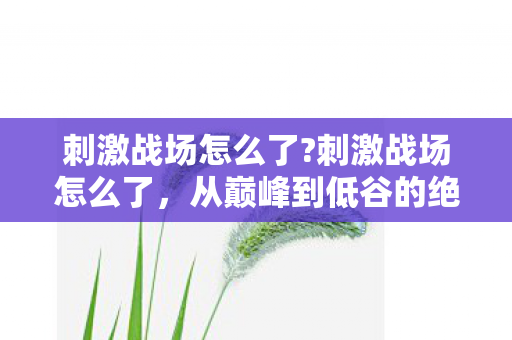 从巅峰到低谷的绝地求生之路图片