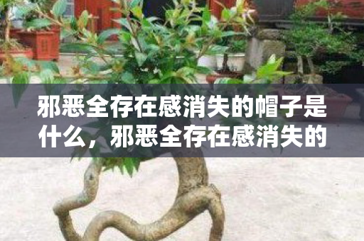 邪恶全存在感消失的帽子是什么,邪恶全存在感消失的帽子,探索虚拟与现实交织的奇妙之旅 邪恶全存在感消失的帽子是什么,邪恶全存在感消失的帽子,探索虚拟与现实交织的奇妙之旅