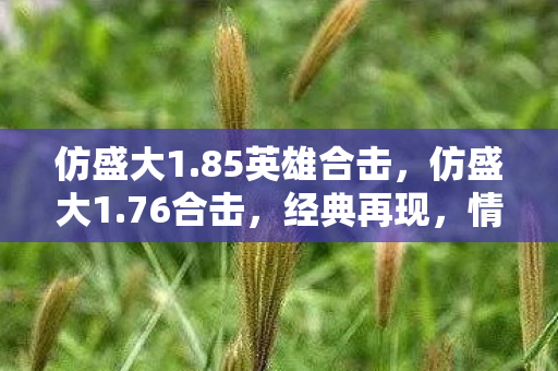 仿盛大1.85英雄合击，仿盛大1.76合击，经典再现，情怀与创新的碰撞
