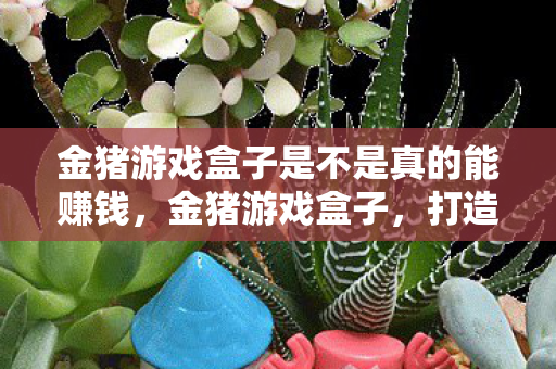 金猪游戏盒子是不是真的能赚钱，金猪游戏盒子，打造个性化游戏体验的优选平台